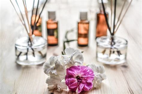 The Power of Nature: Exploring Natural Ingredients in Magic Scent Diffusers